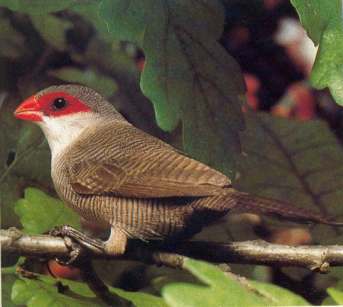 Rozmiar: 14327 bajt�w