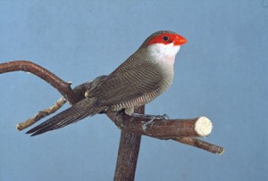 Rozmiar: 12572 bajt�w