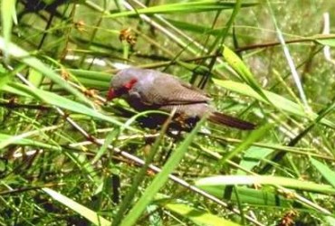 Rozmiar: 42255 bajt�w