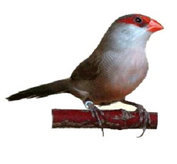 Rozmiar: 9568 bajt�w