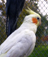 Rozmiar: 15344 bajtw