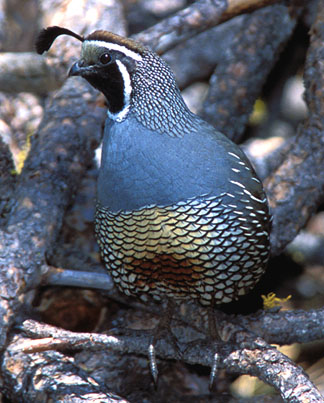 Rozmiar: 55369 bajt�w