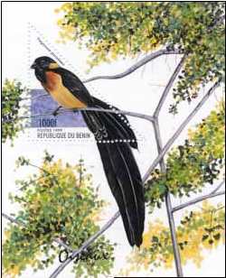 Znaczek z Wdówką rajską.